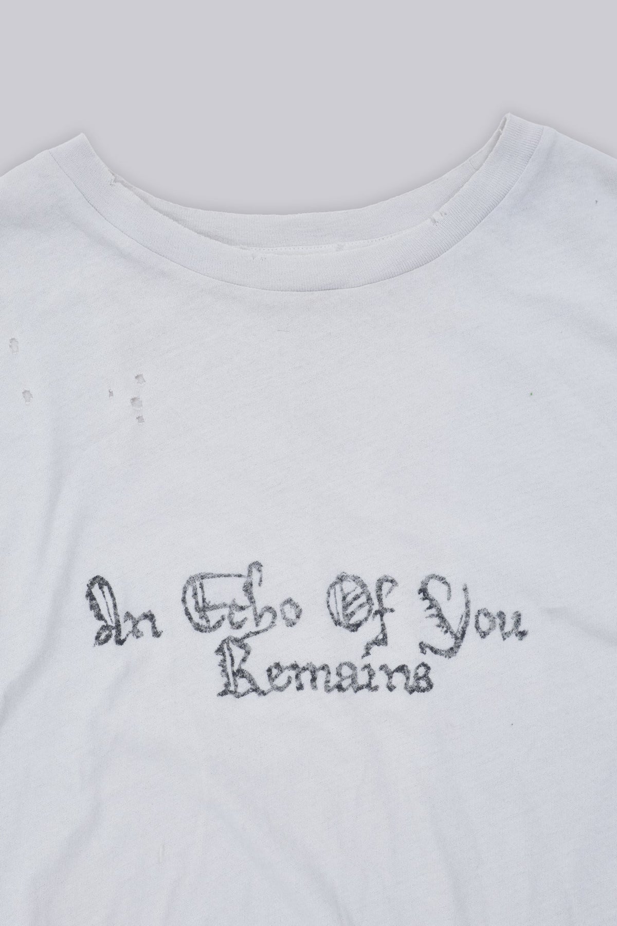 Echo Bitten Cropped T-Shirt