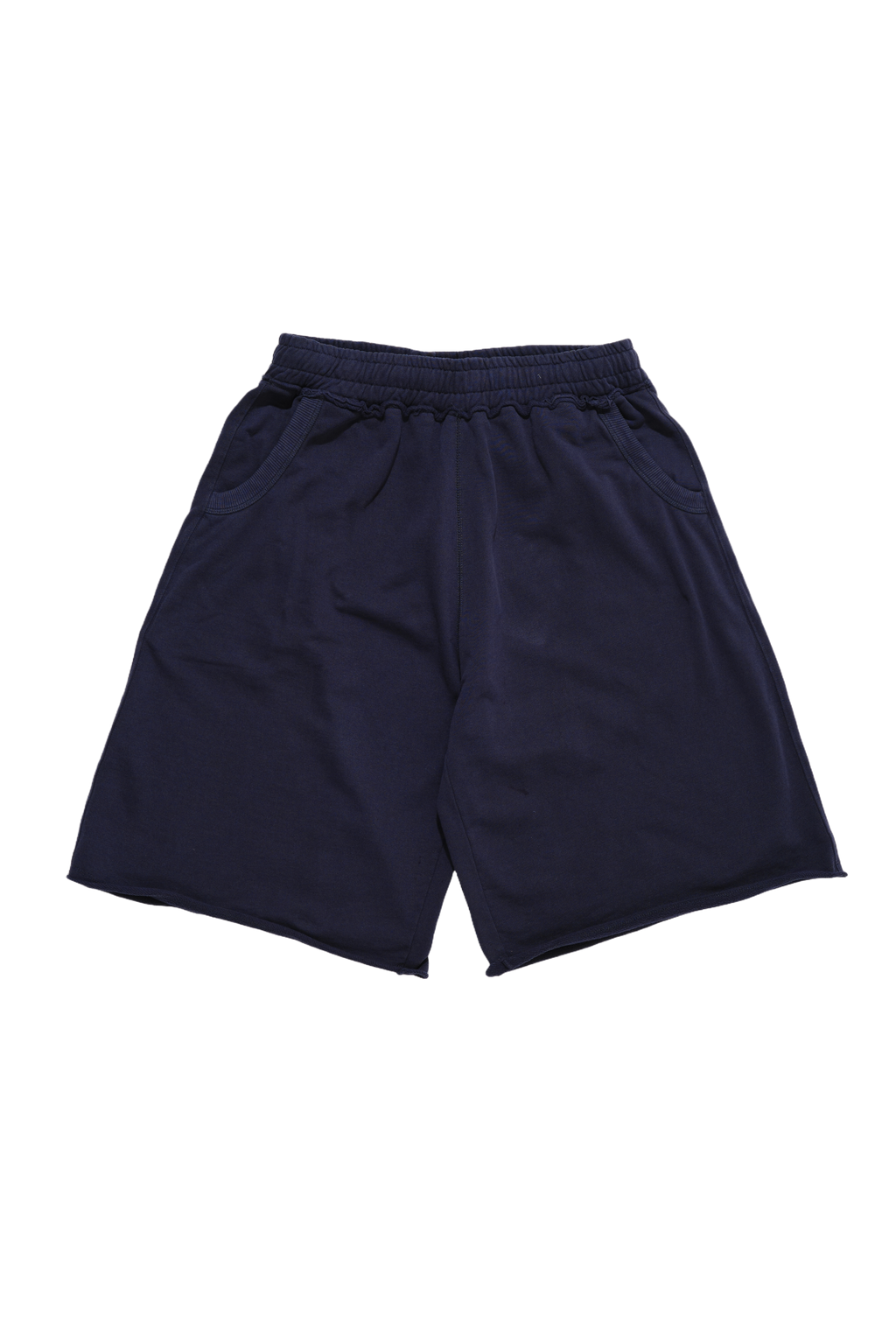 Navy Monster Shorts
