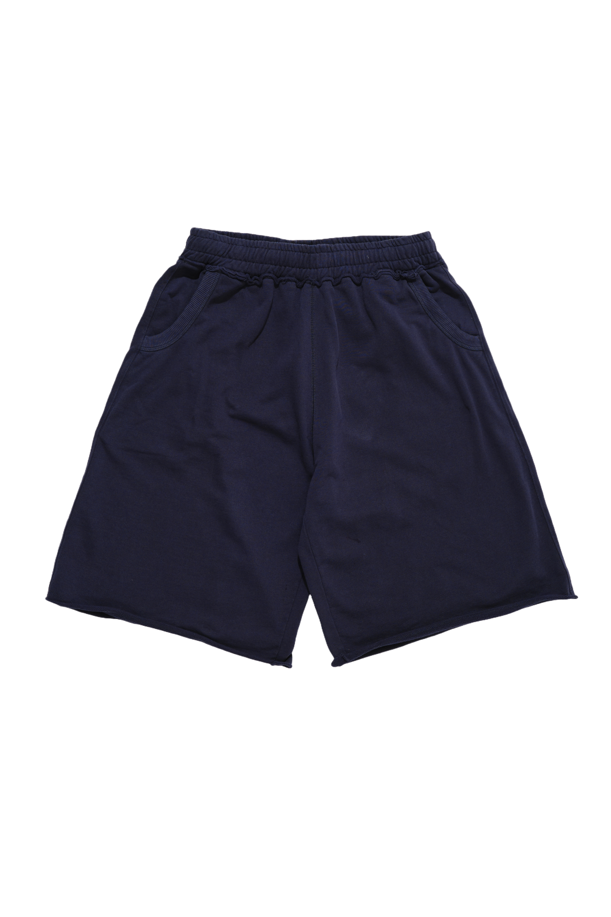 Navy Monster Shorts