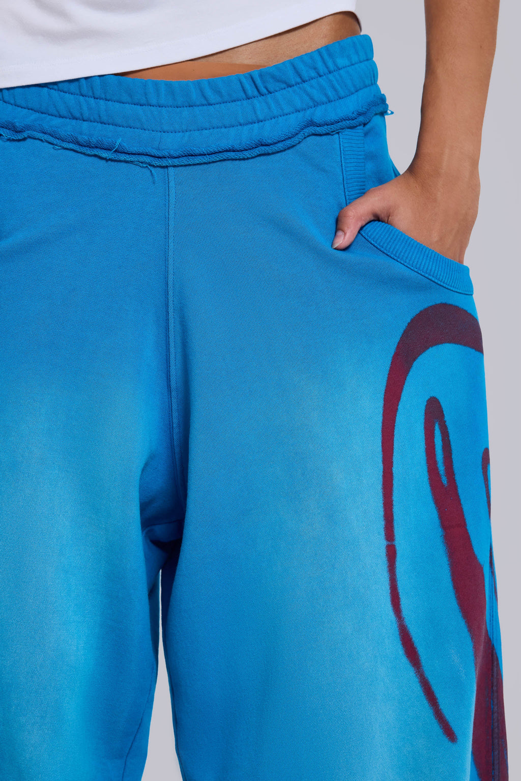 Divine Airbrush Blue Monster Joggers